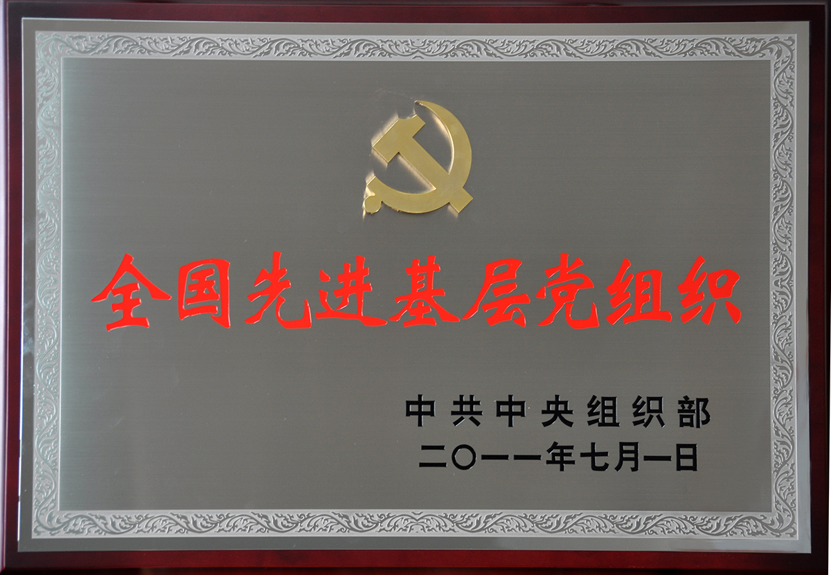 2011年7月，紅豆集團黨委榮獲“全國先進基層黨組織”稱號